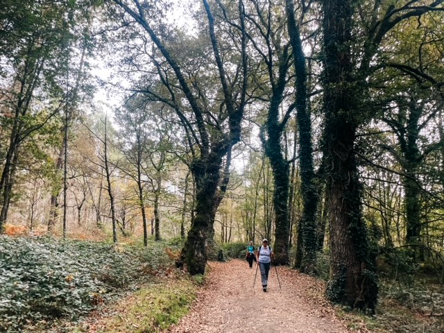 Camino de Santiago en grupo Lexgotrip